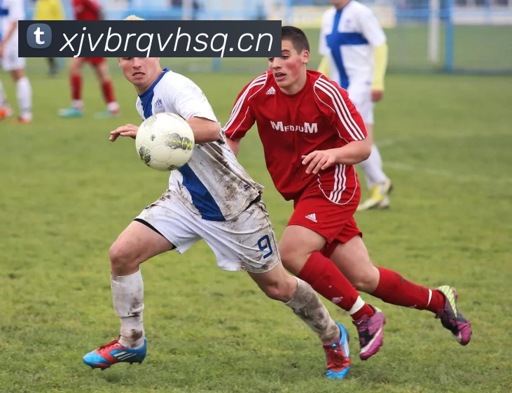 爱游戏全站app官网入口(中国)有限公司 - 官网服务体系